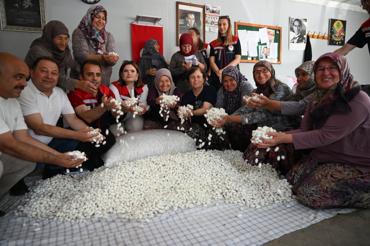 Edirne'de İpek Böcekçiliği Yeniden Canlanıyor: Kadınlardan İlk Hasat