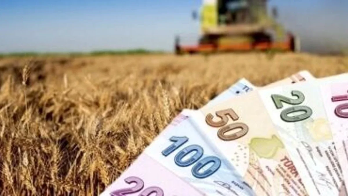Çiftçiye Müjde: 350 Milyon TL Tarımsal Destek Hesaplara Yatıyor
